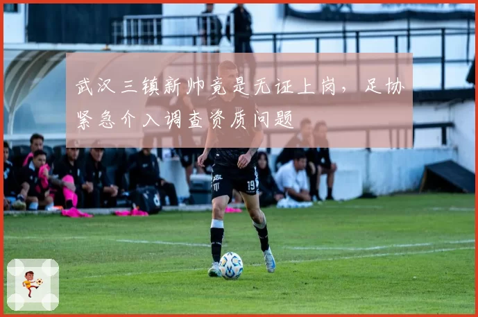 武汉三镇新帅竟是无证上岗,足协紧急介入调查资质问题
