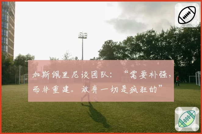 加斯佩里尼谈团队：“需要补强，而非重建。放弃一切是疯狂的”