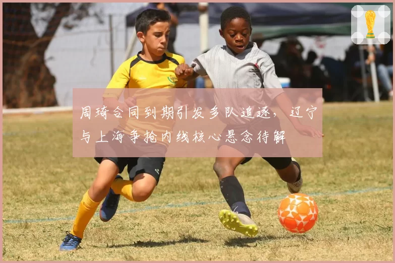 周琦合同到期引发多队追逐,辽宁与上海争抢内线核心悬念待解