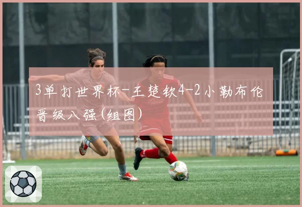 3单打世界杯-王楚钦4-2小勒布伦 晋级八强(组图)