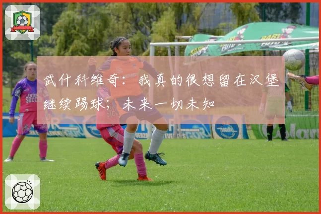 武什科维奇:我真的很想留在汉堡继续踢球;未来一切未知