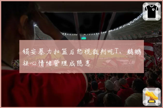 锡安暴力扣篮后怒视裁判吃T,鹈鹕核心情绪管理成隐患