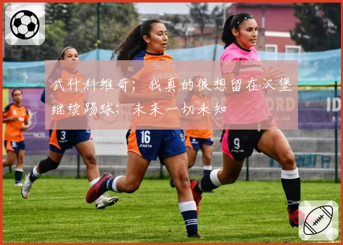 武什科维奇:我真的很想留在汉堡继续踢球;未来一切未知
