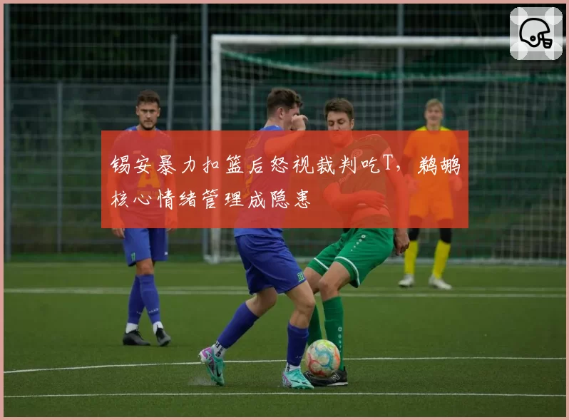 锡安暴力扣篮后怒视裁判吃T，鹈鹕核心情绪管理成隐患