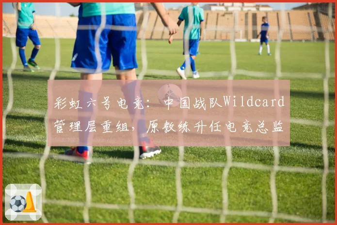 彩虹六号电竞：中国战队Wildcard管理层重组，原教练升任电竞总监