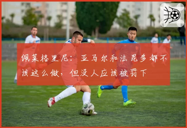 佩莱格里尼:亚马尔和法昆多都不该这么做,但没人应该被罚下