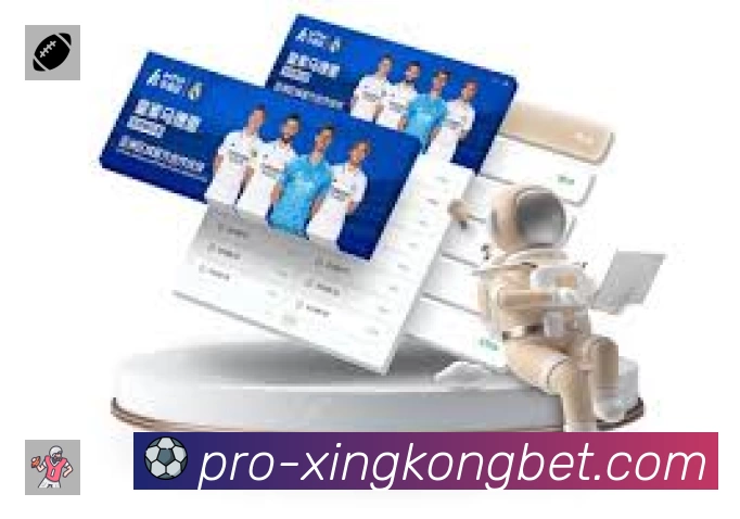 XINGKONG平台展示图